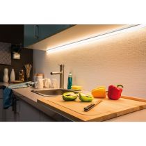 PAULMANN MaxLED... (70585)
