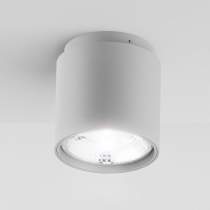 RENDL EX (R10162)